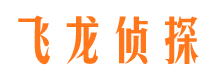 洛扎侦探